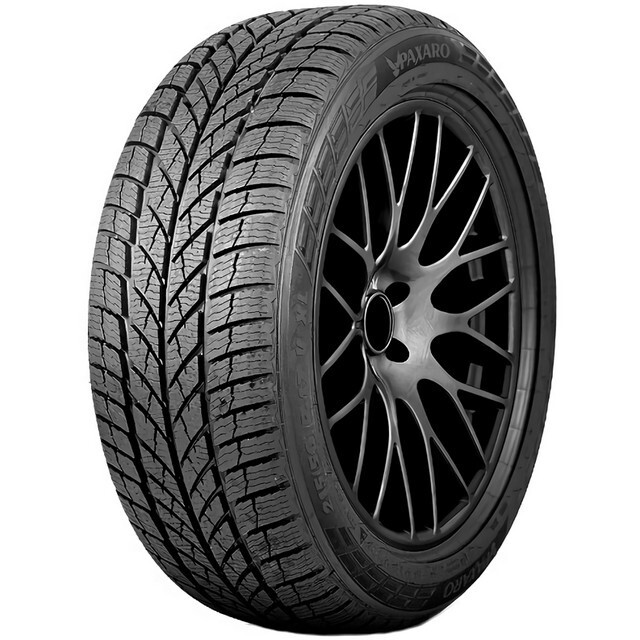 Зимові шини Paxaro Inverno 195/55 R16 87H-зображення-1